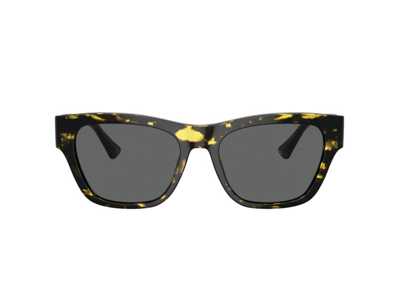 Versace VE 4457 542887 55 Men sunglasses