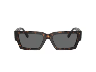 Versace VE 4459 108/87 54 Men, Women sunglasses