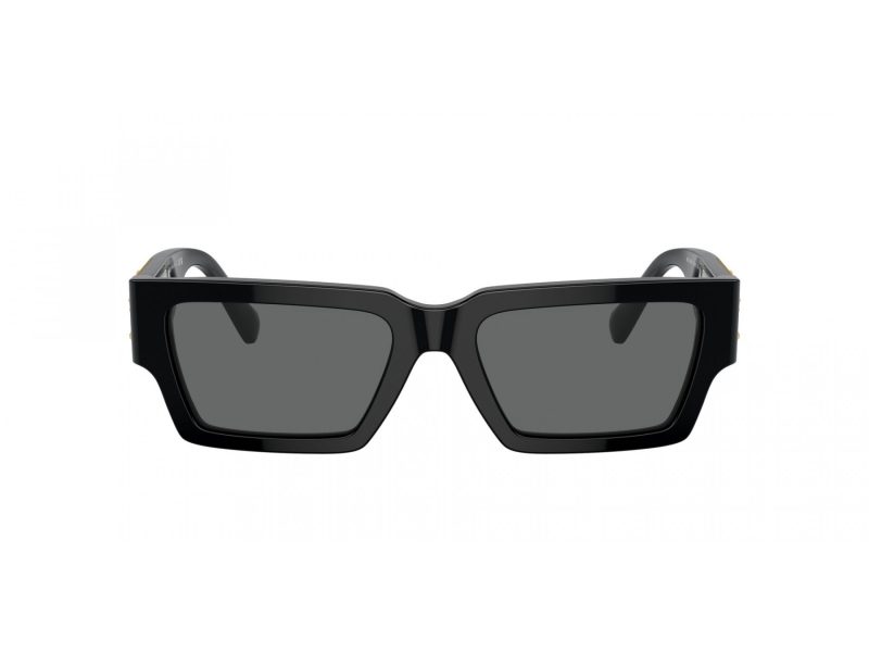 Versace VE 4459 GB1/87 54 Men, Women sunglasses