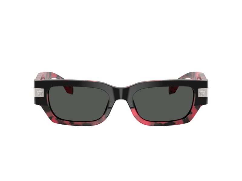 Versace VE 4465 545787 53 Men sunglasses
