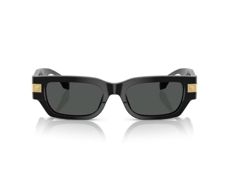 Versace VE 4465 GB1/87 53 Men sunglasses
