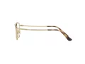 Vogue VO 4230 5078 53 Women glasses