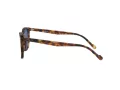 Vogue VO 5328S 2819/80 49 Men sunglasses