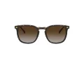 Vogue VO 5328S W656/13 49 Men sunglasses
