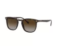 Vogue VO 5328S W656/13 49 Men sunglasses
