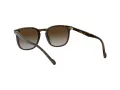 Vogue VO 5328S W656/13 49 Men sunglasses