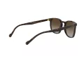Vogue VO 5328S W656/13 49 Men sunglasses