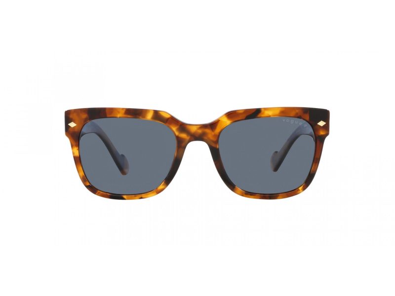 Vogue VO 5490S 28194Y 54 Men sunglasses