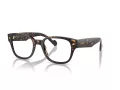 Vogue VO 5529 W656 51 Men glasses