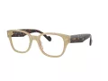 Vogue VO 5529 W900 49 Men glasses