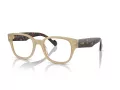 Vogue VO 5529 W900 49 Men glasses