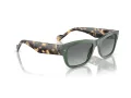 Vogue VO 5530S 309211 55 Men sunglasses