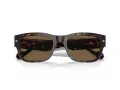 Vogue 5530S W65673 55 Men sunglasses