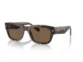Vogue 5530S W65673 55 Men sunglasses