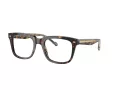 Vogue VO 5572 W656 54 Men glasses