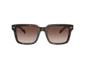 Vogue VO 5573S W65613 55 Men sunglasses