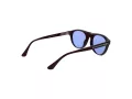 Web WE 0377 92V 51 Men sunglasses