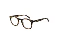 Taylor Morris W 8 C7 49 Men, Women glasses