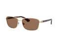 Burberry 3163 110973 60 Men sunglasses