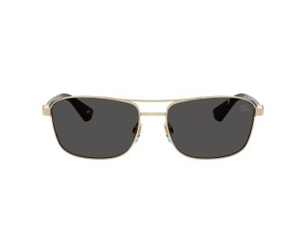 Burberry 3163 110987 60 Men sunglasses