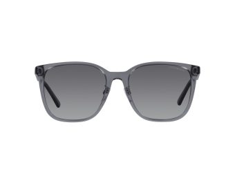 Emporio Armani 4206D 5029T3 57 Men sunglasses