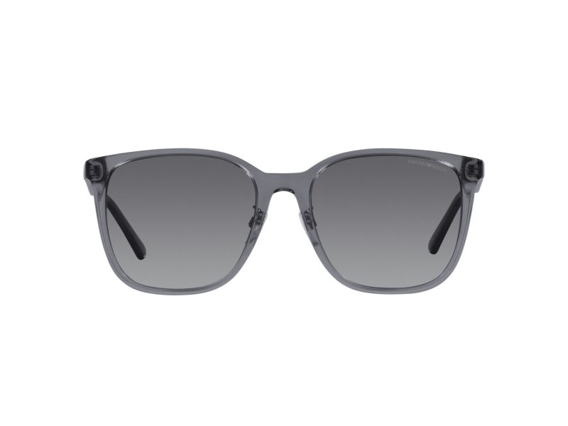 Emporio Armani 4206D 5029T3 57 Men sunglasses