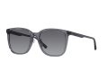 Emporio Armani 4206D 5029T3 57 Men sunglasses