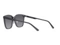 Emporio Armani 4206D 5029T3 57 Men sunglasses