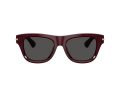 Burberry 4438U 326587 53 Men sunglasses