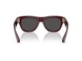 Burberry 4438U 326587 53 Men sunglasses