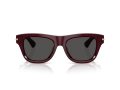 Burberry 4438U 326587 53 Men sunglasses
