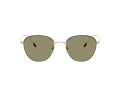 Giorgio Armani 6048 30132A 51 Men sunglasses