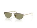 Giorgio Armani 6166J 30022A 53 Men sunglasses