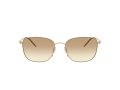 Giorgio Armani 6168 300213 54 Men sunglasses