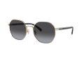 Coach Ch556 7147 90058G 56 Women sunglasses