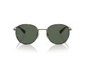 Coach Cr631 7163 933371 52 Men sunglasses