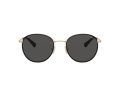 Coach Cr631 7163 934687 52 Men sunglasses