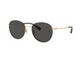Coach Cr631 7163 934687 52 Men sunglasses