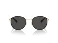 Coach Cr631 7163 934687 52 Men sunglasses