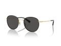 Coach Cr631 7163 934687 52 Men sunglasses