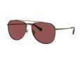 Coach Cr626 7164 933375 59 Men sunglasses