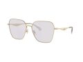 Coach Cw189 7168 9005ZQ 58 Women sunglasses