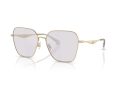 Coach Cw189 7168 9005ZQ 58 Women sunglasses