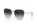 Coach Cw189 7168 93313C 58 Women sunglasses
