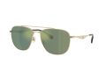 Coach Cw404 7172 90056R 59 Men sunglasses