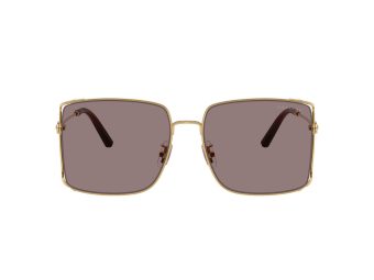 Coach Cw429 7174D 94417N 59 Women sunglasses