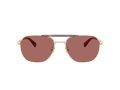 Coach Cae80 7178 90050H 57 Men sunglasses