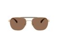 Coach Cae80 7178 900573 57 Men sunglasses