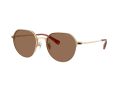 Coach Cae81 7179 900573 52 Men sunglasses