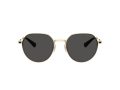 Coach Cae81 7179 900587 52 Men sunglasses
